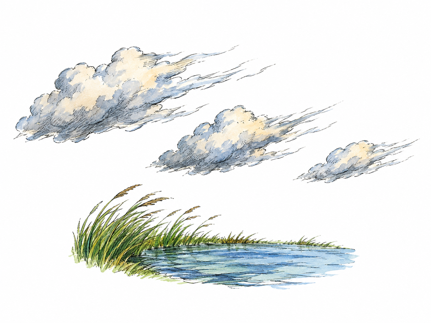 Three low loose cloud fragments sweep swiftly in one direction above a small blue water patch, with grasses bent by wind at edge.