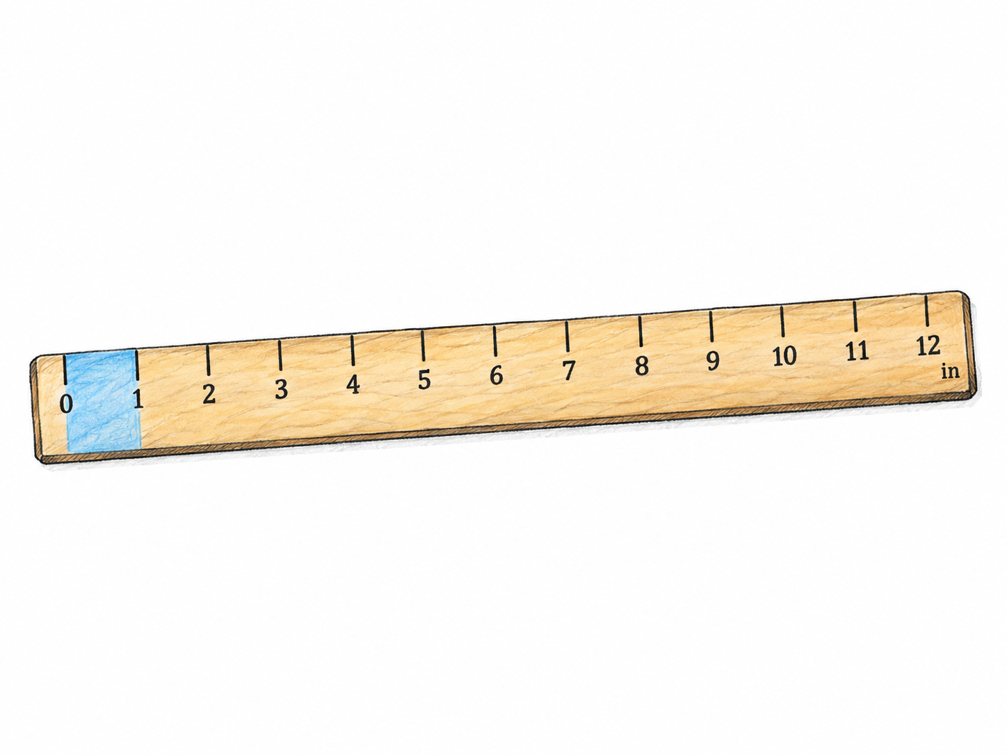A broad, clearly drawn one-foot ruler with twelve equal inch intervals and the first interval distinctly highlighted; no separate measuring block or fractional ticks.