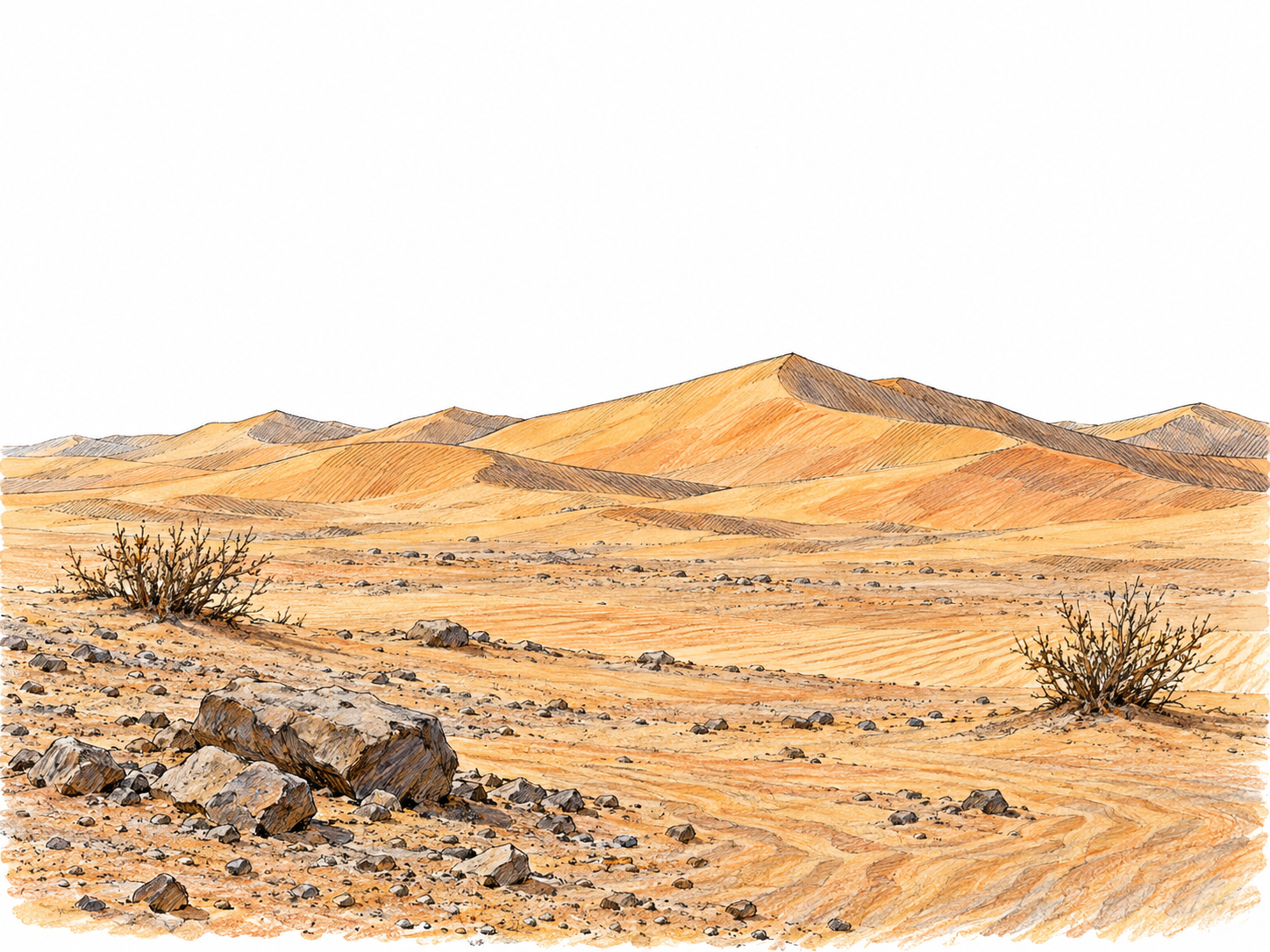 An arid landscape of wind-shaped sand dunes, exposed stony ground, and a few widely spaced dry shrubs, with no water or settlement.