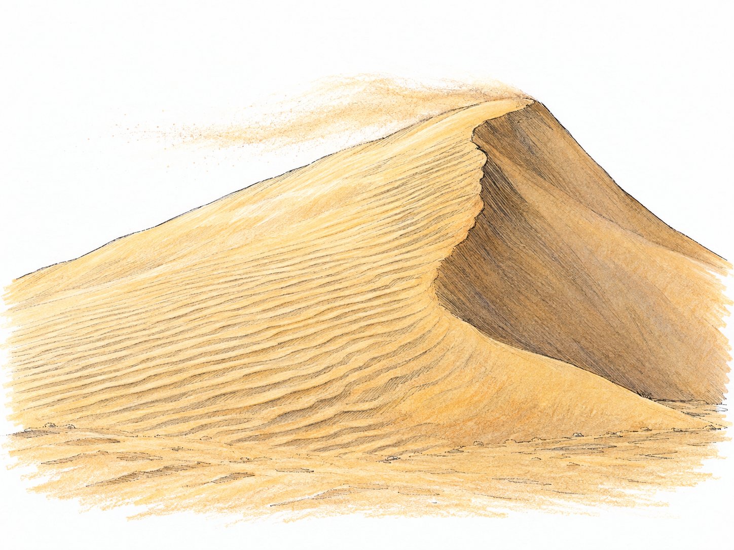 An isolated wind-shaped sand dune with a curved crest, a gently sloping rippled windward side, a steep smooth slip face, and a thin plume of sand blowing over the ridge.