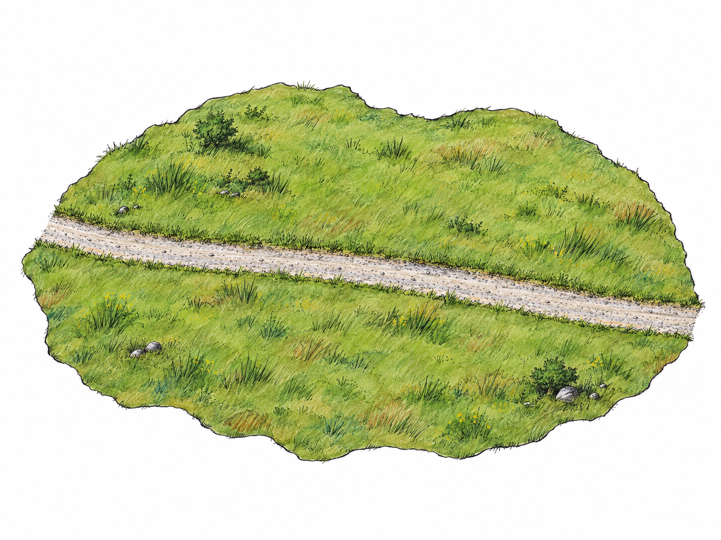 An overhead oblique view of a narrow gravel road passing straight across a single green meadow, entering one side and exiting the opposite side so that it visibly divides the meadow into two parts.