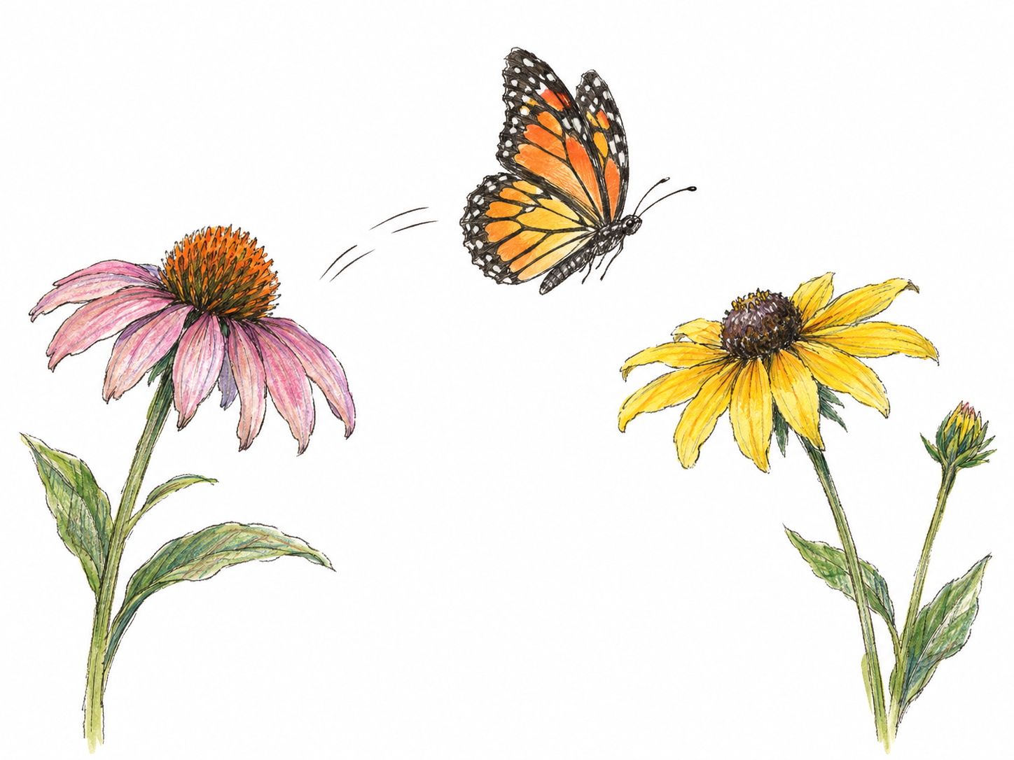 A single small butterfly flits between two nearby wildflower stems, caught in light, quick flight with a few subtle pen motion strokes.