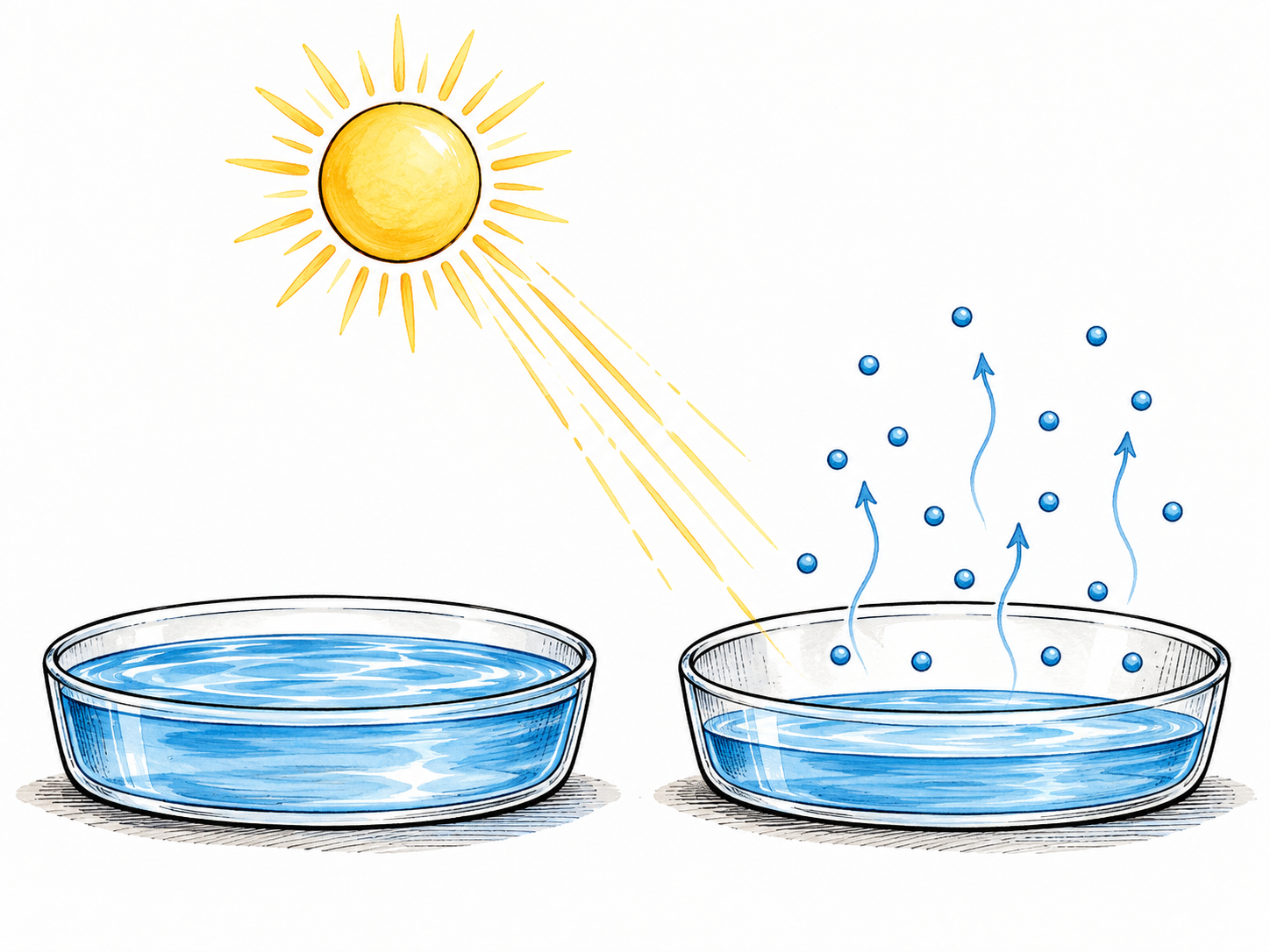 Two shallow dishes show the same water surface before and after sun exposure, with a lower later water level and sparse rising molecular dots; clear evaporation process, no claim that vapor is a visible cloud.