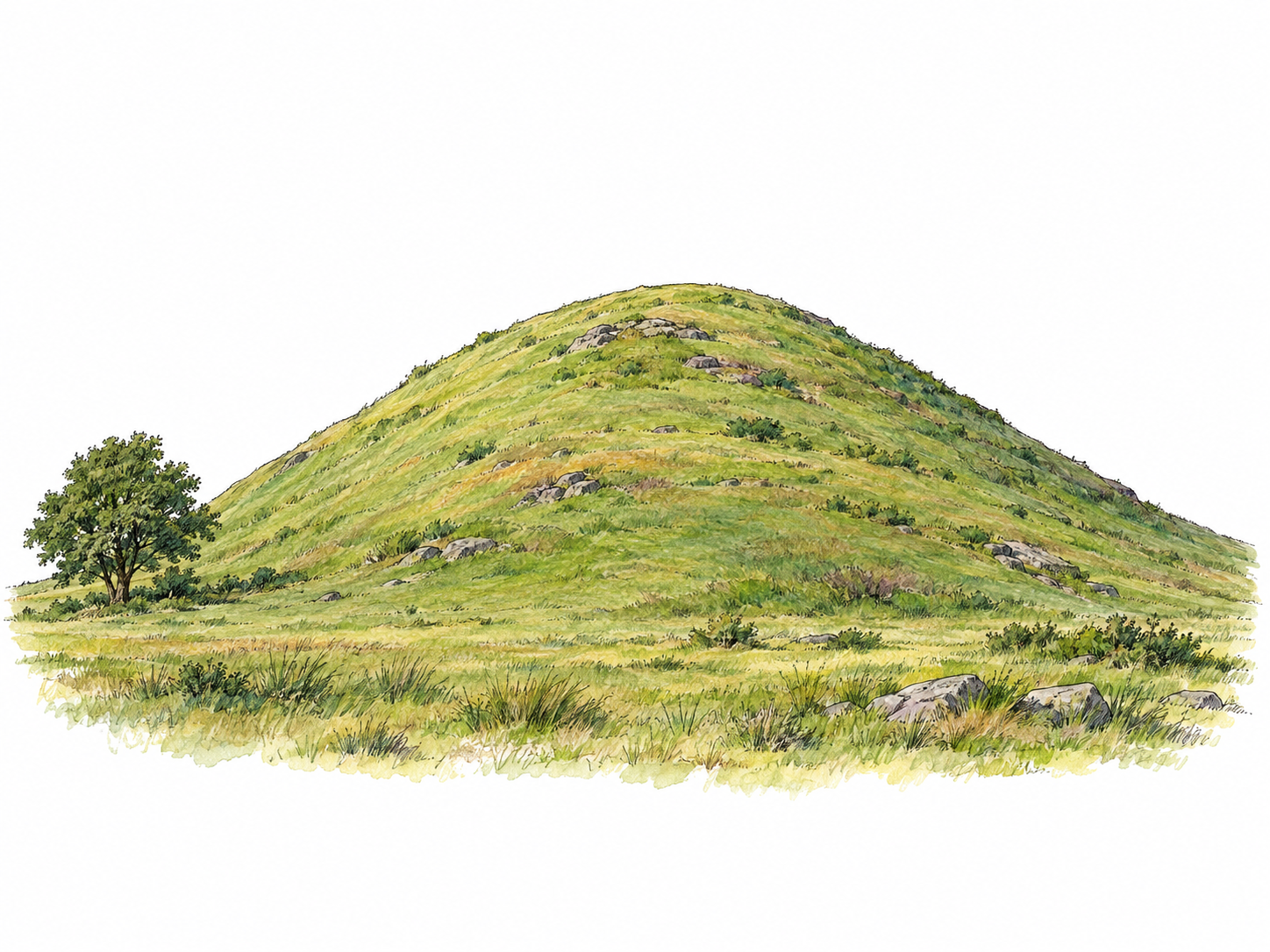 A single low, rounded grassy hill rises naturally from level ground, with gentle continuous slopes and a small tree near its base providing scale.