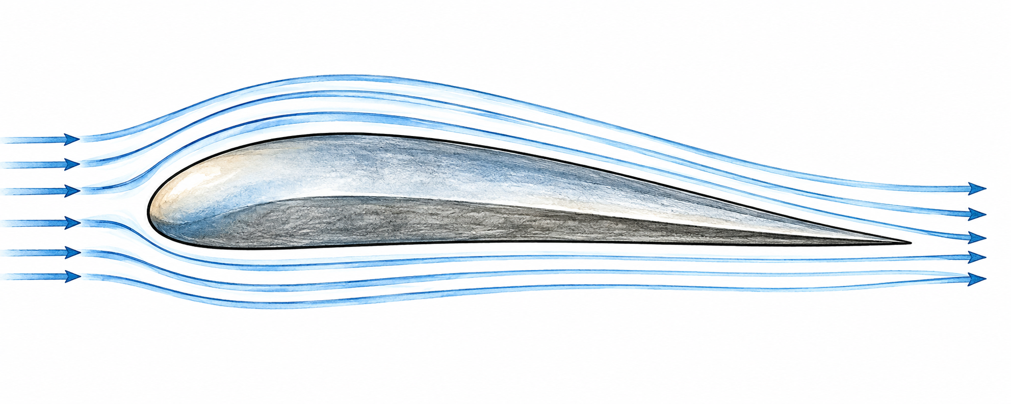 Wing airfoil profile in side view, rounded leading edge and thin trailing edge with smooth airflow above and below, slightly curved top surface.