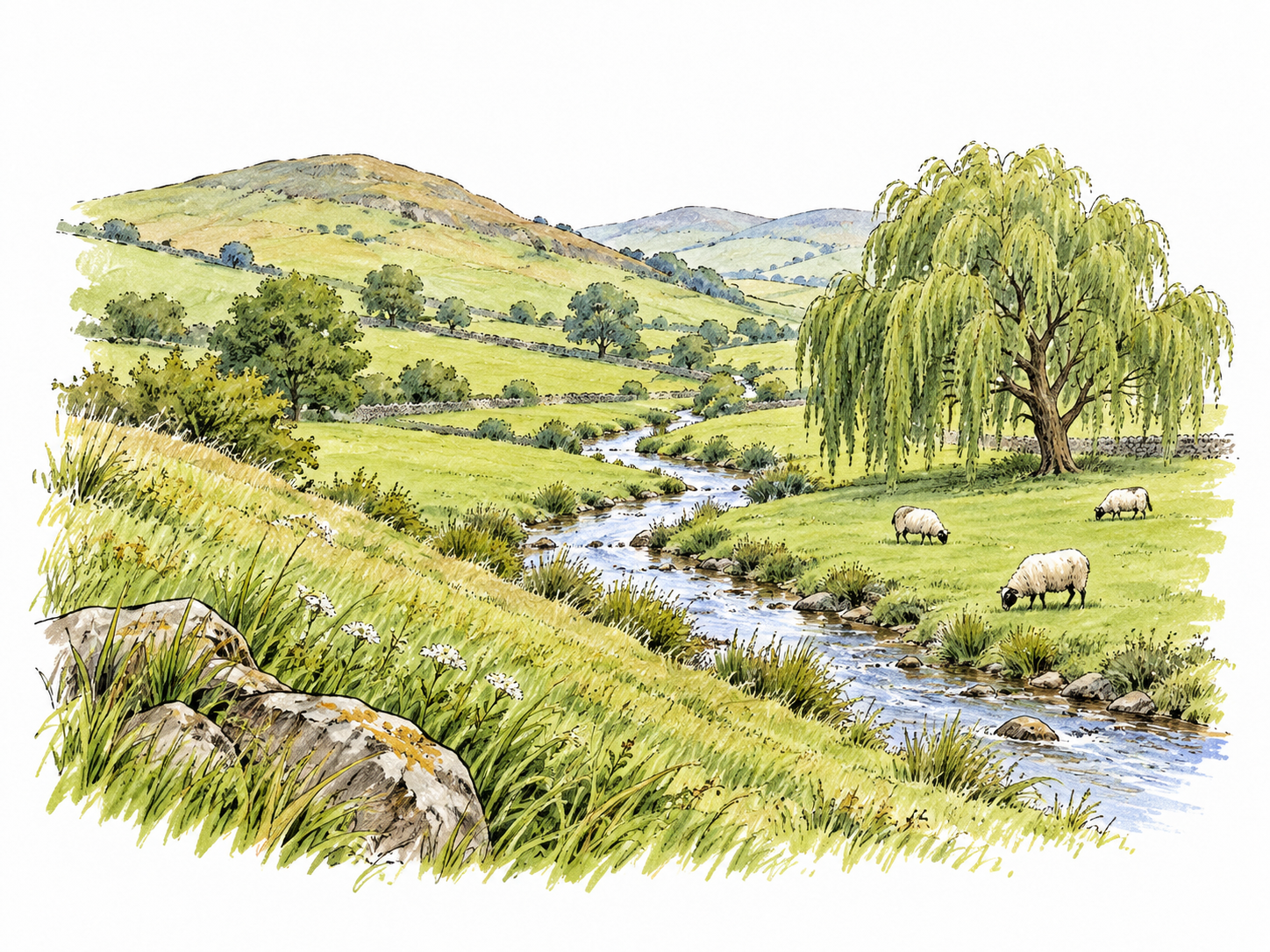 A peaceful pastoral vale seen from a grassy slope: low green land with a winding brook between soft hills, one willow and a few sheep.
