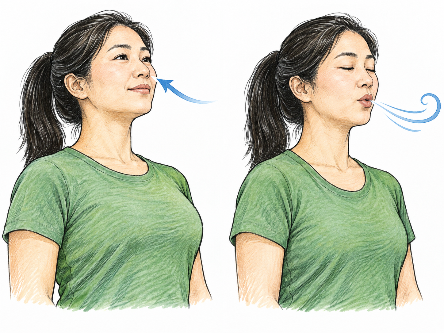 Woman calmly inhales then exhales illustrated as two adjacent matching half-figure poses of SAME woman, first chest expanded with small inward curved arrow near nose, second chest relaxed with outward breath curl.