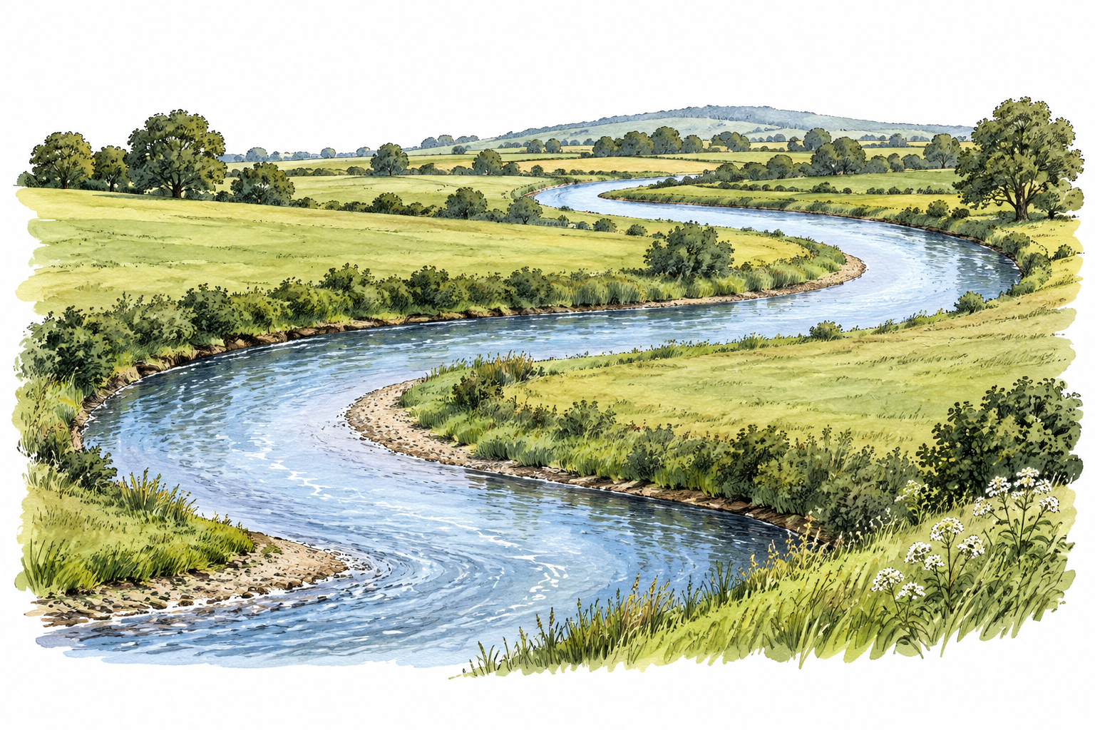 A smooth winding river makes one graceful continuous curve through fields.