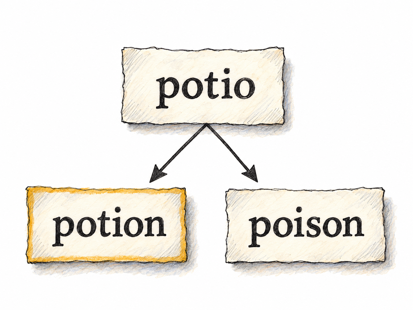 Show an etymological doublet through three physical word slips: the common source potio branches to the differently formed English words potion and poison.