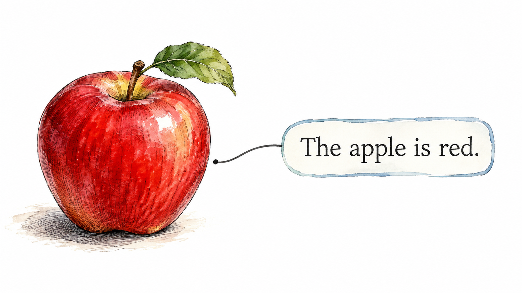 Minimal language teaching image showing a red apple beside the exact statement 'The apple is red.' A subtle line connects apple to statement.