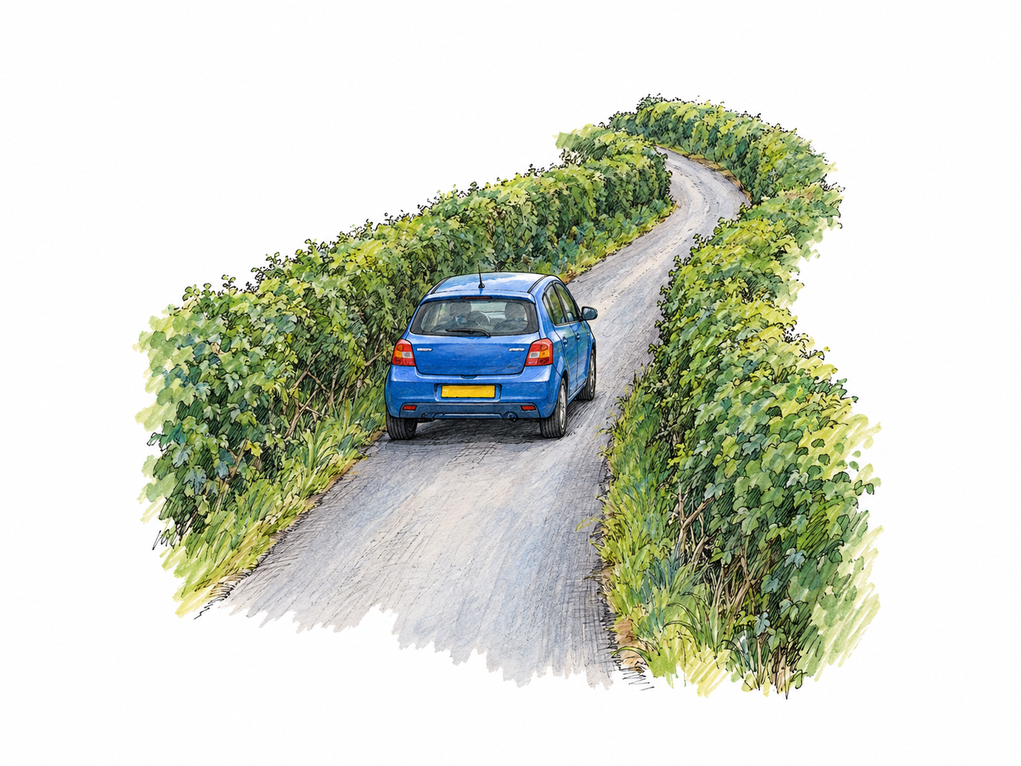 A narrow country road closely bordered by hedges, with one compact car showing that the road is only about one vehicle wide.