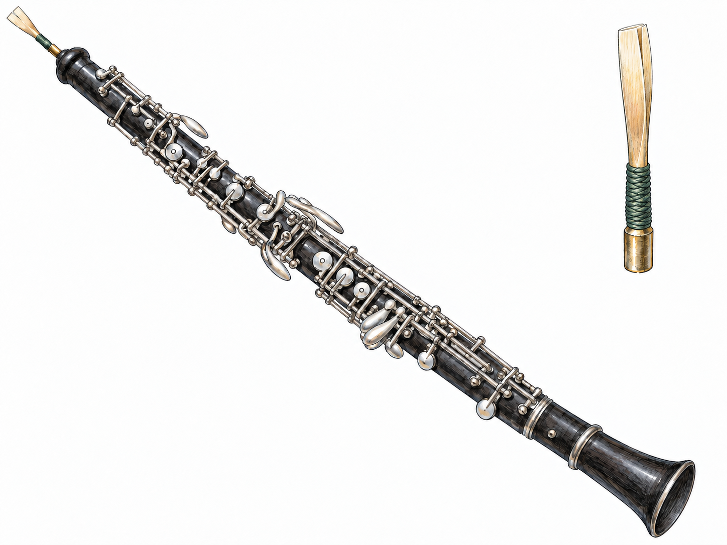 An isolated modern oboe with its double reed clearly visible, accompanied by a close detail of the paired cane blades to distinguish it from a clarinet.